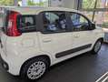 Fiat Panda Lounge Weiß - thumbnail 3