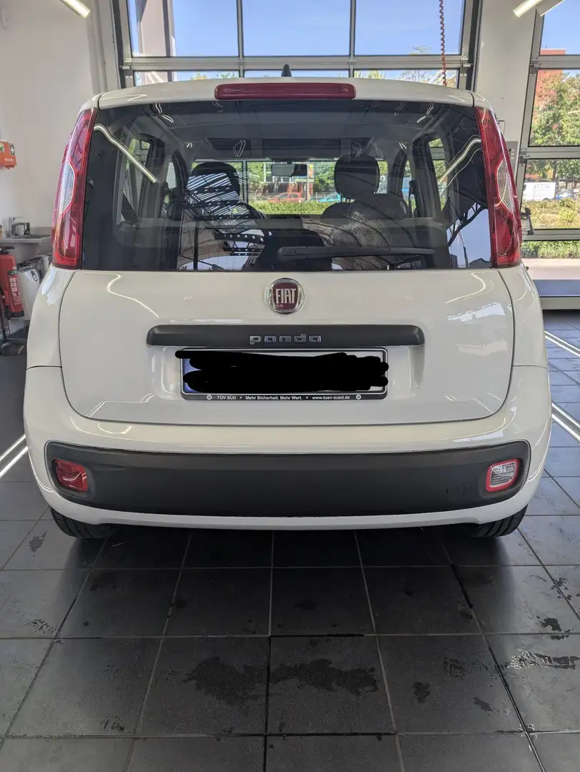 Fiat Panda Lounge Weiß - 2