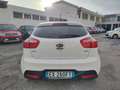 Kia Rio Rio 5p 1.4 crdi Cool Bianco - thumbnail 5