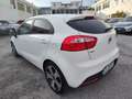 Kia Rio Rio 5p 1.4 crdi Cool Wit - thumbnail 6