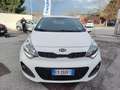 Kia Rio Rio 5p 1.4 crdi Cool Blanco - thumbnail 2