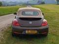 Volkswagen Beetle The Beetle Cabriolet 2.0 TDI 70s Beżowy - thumbnail 8