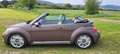 Volkswagen Beetle The Beetle Cabriolet 2.0 TDI 70s Beżowy - thumbnail 1