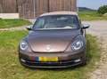Volkswagen Beetle The Beetle Cabriolet 2.0 TDI 70s Beżowy - thumbnail 3
