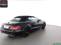 Mercedes-Benz E 250 E 250 Cabrio PANAMERICANA,AIRSCARF,LEDILS,AHK Noir - thumbnail 10