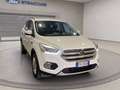 Ford Kuga 1.5 tdci Business s&s 2wd 120cv my19.25 Wit - thumbnail 11