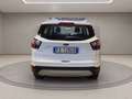 Ford Kuga 1.5 tdci Business s&s 2wd 120cv my19.25 Blanc - thumbnail 5
