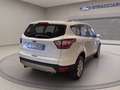 Ford Kuga 1.5 tdci Business s&s 2wd 120cv my19.25 Blanc - thumbnail 4