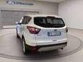 Ford Kuga 1.5 tdci Business s&s 2wd 120cv my19.25 Wit - thumbnail 7