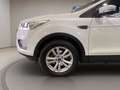 Ford Kuga 1.5 tdci Business s&s 2wd 120cv my19.25 Wit - thumbnail 12