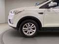 Ford Kuga 1.5 tdci Business s&s 2wd 120cv my19.25 Blanc - thumbnail 7