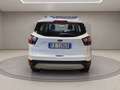 Ford Kuga 1.5 tdci Business s&s 2wd 120cv my19.25 Wit - thumbnail 4