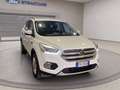 Ford Kuga 1.5 tdci Business s&s 2wd 120cv my19.25 Blanc - thumbnail 3
