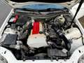 Mercedes-Benz SLK 200 SLK Roadster - R170 k Bianco - thumbnail 11