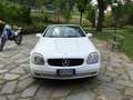 Mercedes-Benz SLK 200 SLK Roadster - R170 k Bianco - thumbnail 5
