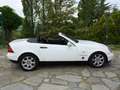 Mercedes-Benz SLK 200 SLK Roadster - R170 k Bianco - thumbnail 7