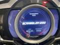 Triumph Scrambler 1200 XE Blauw - thumbnail 5