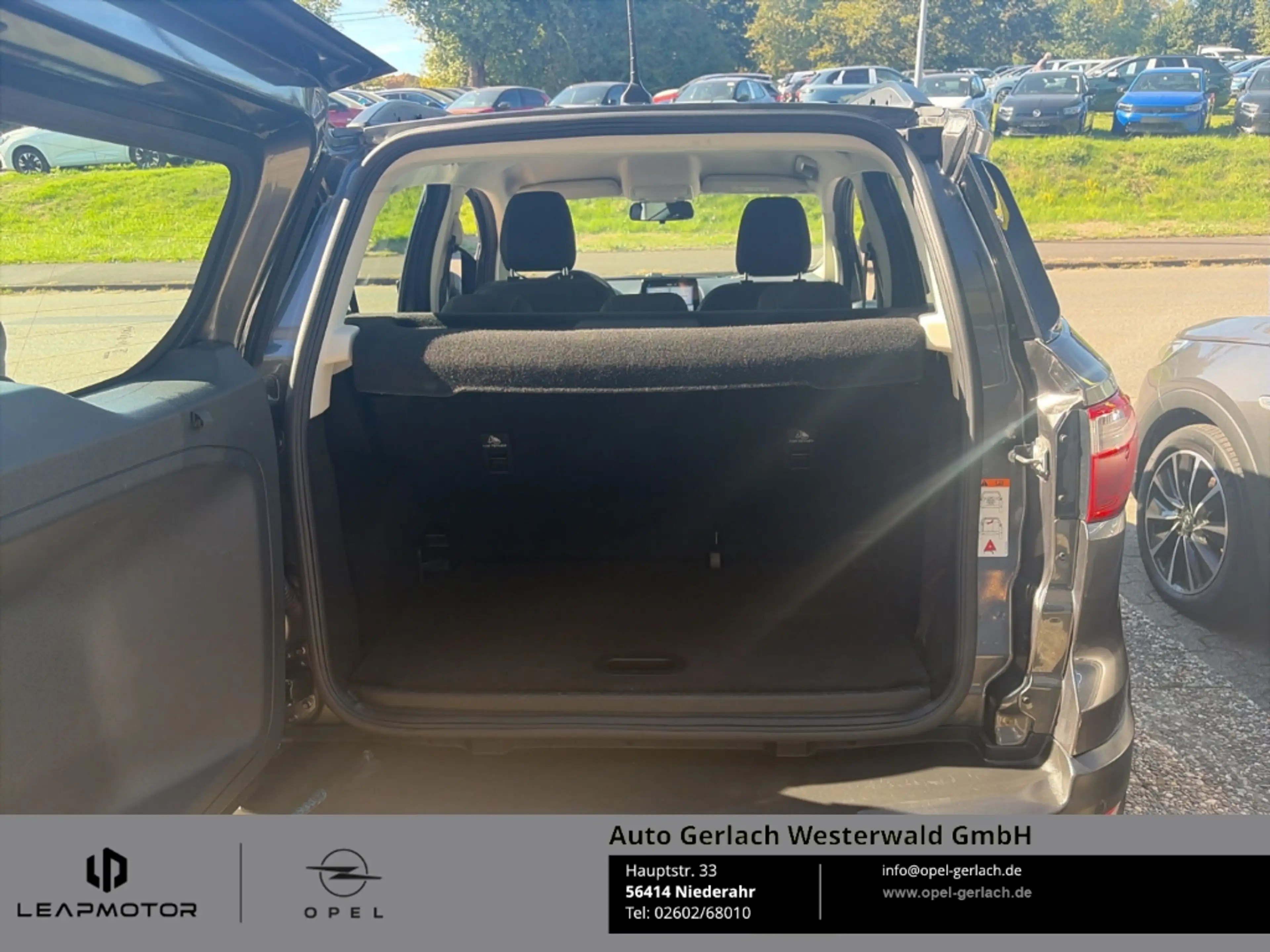 Ford EcoSport Trend Apple CarPlay Android Auto Klimaautom Musiks — photo 15