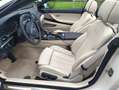 BMW 640 CABRIO OFFERTA FINO AL 31 DICEMBRE 25.000€ IMMATRI - thumbnail 9