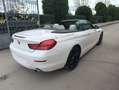 BMW 640 CABRIO OFFERTA FINO AL 31 DICEMBRE 25.000€ IMMATRI - thumbnail 5