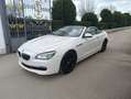 BMW 640 CABRIO OFFERTA FINO AL 31 DICEMBRE 25.000€ IMMATRI - thumbnail 2