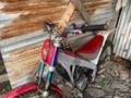 Montesa Cota Rosso - thumbnail 3