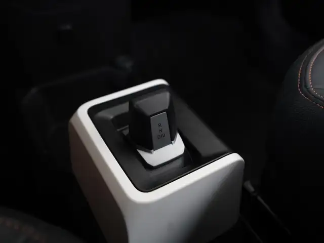 Dacia Spring view 10