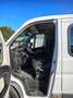 Fiat FIAT DUCATO 35 2.3Mjt 130CV GRU FASSI D.Cab. 7 Pos Weiß - thumbnail 13