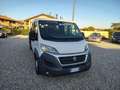 Fiat FIAT DUCATO 35 2.3Mjt 130CV GRU FASSI D.Cab. 7 Pos Weiß - thumbnail 8