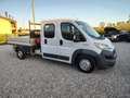 Fiat FIAT DUCATO 35 2.3Mjt 130CV GRU FASSI D.Cab. 7 Pos Weiß - thumbnail 7