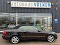Mercedes-Benz CLK 200 Kompressor Cabrio+Avantgarde+Leder+ Schwarz - thumbnail 37