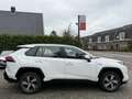 Toyota RAV 4 2.5 Plug-in Hybrid AWD 306pk, Trekhaak | Camera | Blanc - thumbnail 7