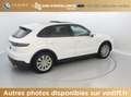Porsche Cayenne E-HYBRID 462 CV Wit - thumbnail 33
