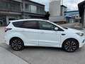 Ford Kuga Kuga 2,0 TDCi ST-Line Start/Stop ST-Line Weiß - thumbnail 4