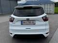 Ford Kuga Kuga 2,0 TDCi ST-Line Start/Stop ST-Line Weiß - thumbnail 5