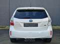 Toyota Prius+ Prius Wagon 1.8 Aspiration 96g |7P|PANO|NAVI|CRUIS bijela - thumbnail 26