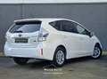 Toyota Prius+ Prius Wagon 1.8 Aspiration 96g |7P|PANO|NAVI|CRUIS Fehér - thumbnail 2