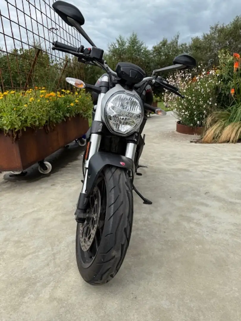 Ducati Monster 797 Noir - 2