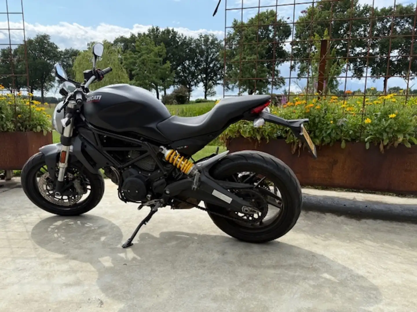 Ducati Monster 797 Noir - 1