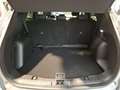 Ford Kuga Titanium 2.0 EcoBlue Automatik 4WD Silber - thumbnail 22