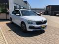 Skoda Kamiq TSI 5-Jahre Garantie LED PDC Kamera Weiß - thumbnail 4
