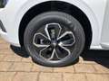 Skoda Kamiq TSI 5-Jahre Garantie LED PDC Kamera Blanco - thumbnail 20
