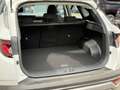 Hyundai TUCSON FL (MJ25) 1.6 T-GDI Navi*SHZ*Totwinkel*Kamera*Keyl Blanc - thumbnail 16