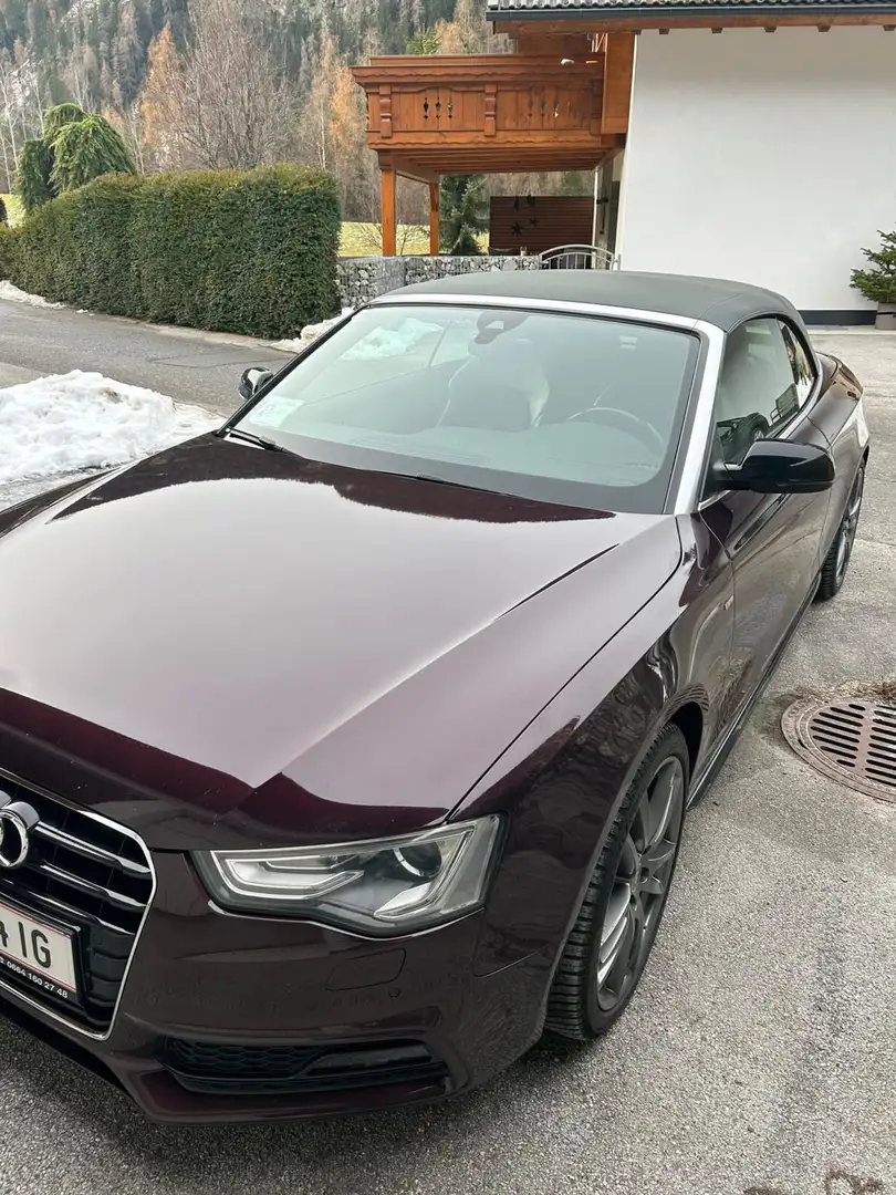 Audi A5 A5 Cabrio 3,0 TDI quattro DPF S-tronic - 1