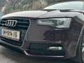 Audi A5 A5 Cabrio 3,0 TDI quattro DPF S-tronic - thumbnail 2