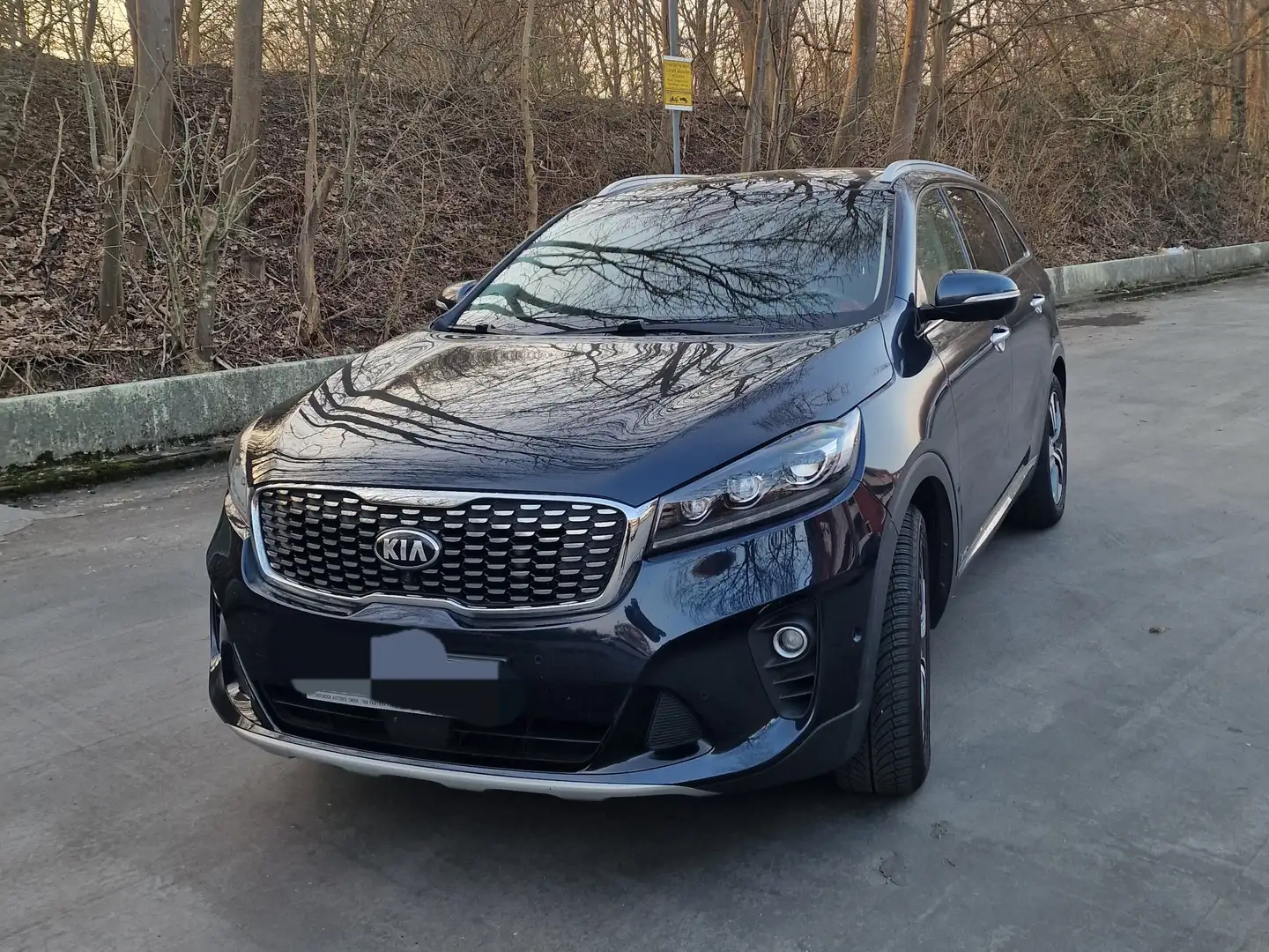 Kia Sorento Sorento+2.2+CRDi+AWD+Aut.+Platinum+Edition ( Inspe Blau - 1