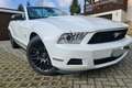 Ford Mustang V6, Modell 2010, Base Blanc - thumbnail 2