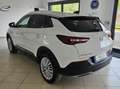 Opel Grandland X Grandland X 1.6 ecotec Advance s Bianco - thumbnail 8
