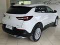 Opel Grandland X Grandland X 1.6 ecotec Advance s Bianco - thumbnail 6