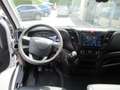 Iveco Daily benne basculante/ kipper Blanc - thumbnail 10